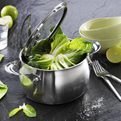 Non-Stick Stainless Cooking Pot